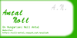 antal noll business card